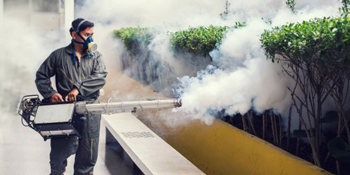  Service Provider of Fumigation Treatment Delhi New Delhi 