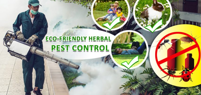  Service Provider of Herbal Pest Control Services Delhi New Delhi 