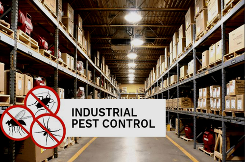  Service Provider of Industrial Pest Control Services Delhi New Delhi 