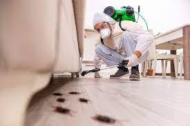  Service Provider of Pest Control Services For Cockroach Delhi New Delhi 