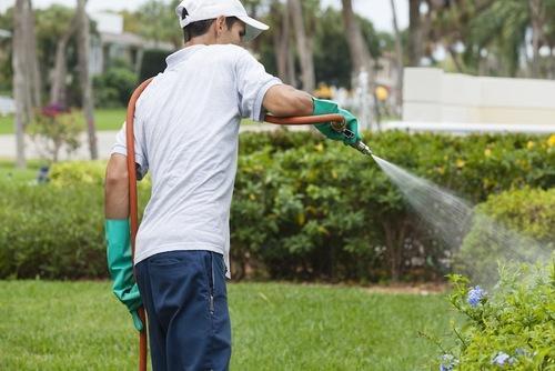  Service Provider of Pest Control Services For Garden Delhi New Delhi 