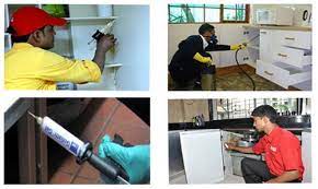  Service Provider of Pest Control Gel Treatment Services Delhi New Delhi 