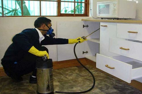  Service Provider of Residential Pest Control Services Delhi New Delhi 